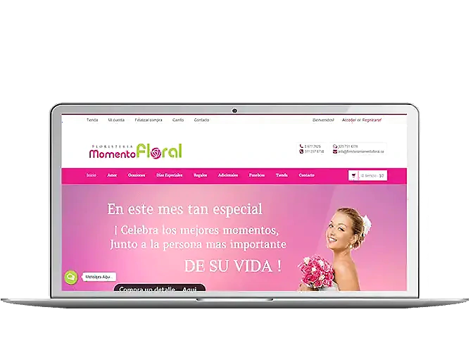 web-2019
